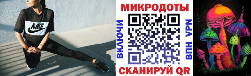 Галлюциногенные грибы MAGIC MUSHROOMS  продажа наркотиков  Питкяранта 