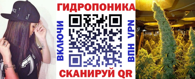 Бошки марихуана гибрид  где продают наркотики  Питкяранта 